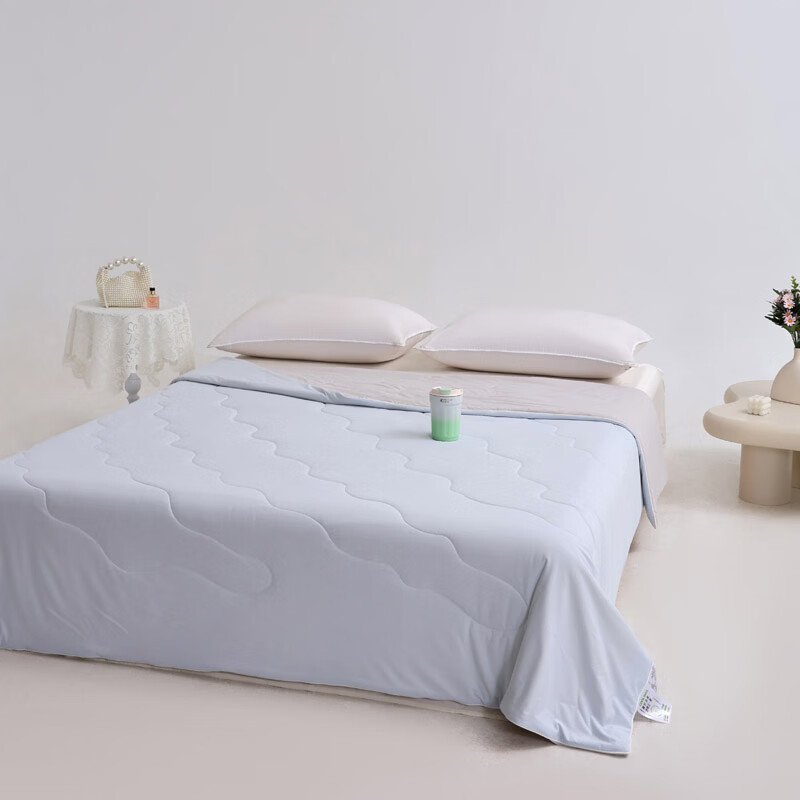 水星家纺夏季被子空调被夏凉被春夏新款大豆被单双人床上用品 雾凇蓝+幻影灰 200*230cm单夏被