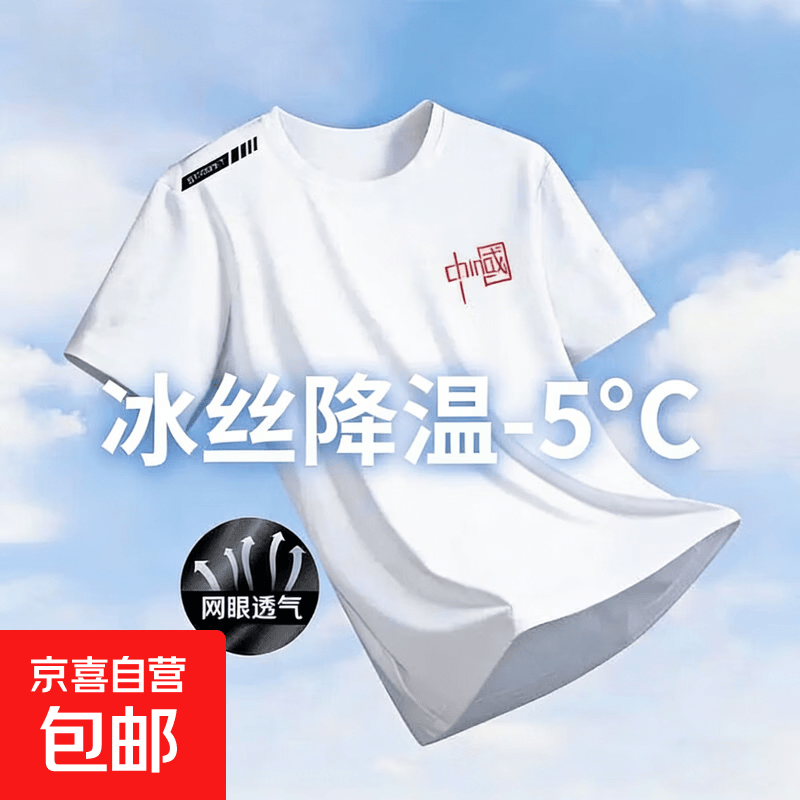 【网眼透气清爽】夏季印花短袖男运动速干男士t恤男冰丝健身衣服 肩标中国【白色】 5XL 【建议180-200斤】