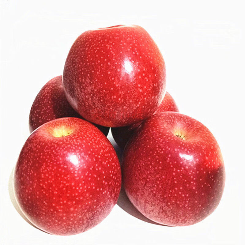 秦林鲜水果苹果粉面香甜老人宝宝刮泥孕妇应季水果软糯红香蕉 4点5斤 80mm含85mm不含