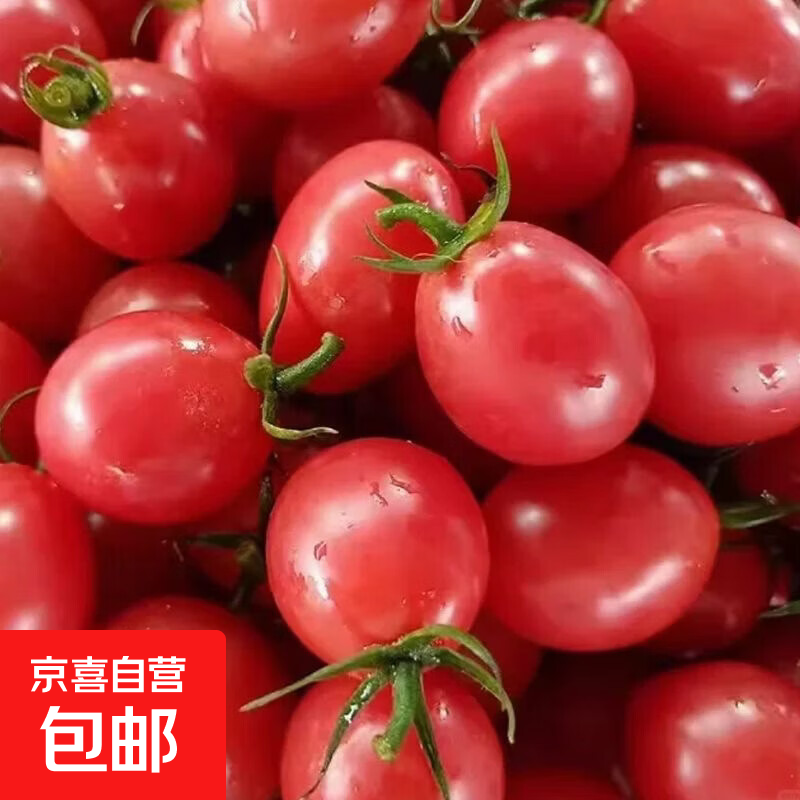 ����ʥŮ�� ��ɫС������ ���ʵ����߲� 5�� 11.48Ԫ