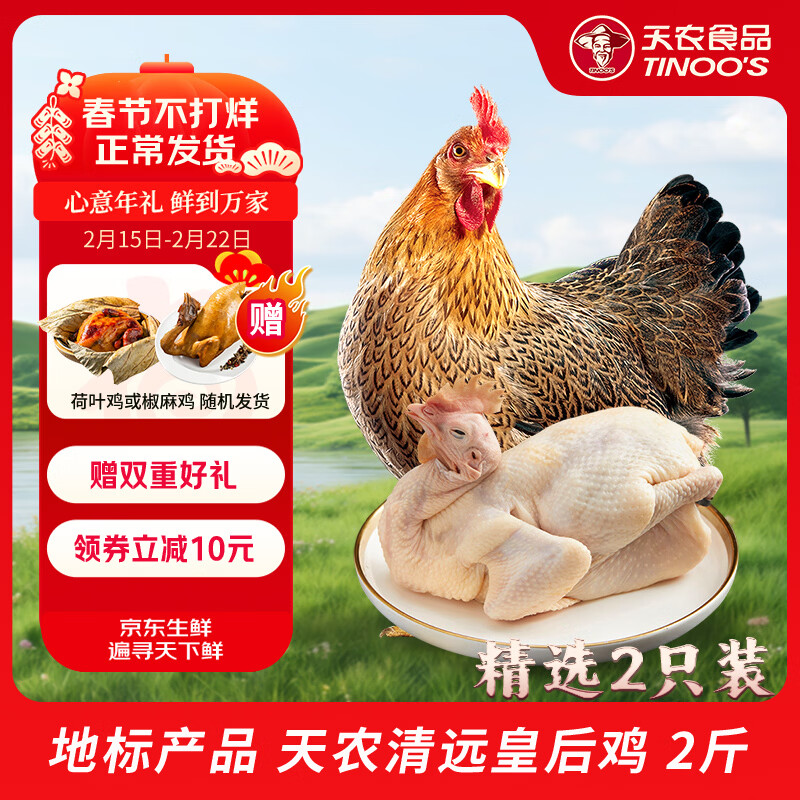 天农清远鸡皇后鸡 4斤 供港老母鸡走地鸡 山林散养365天 月子炖汤食材 清远皇后鸡2斤*2只