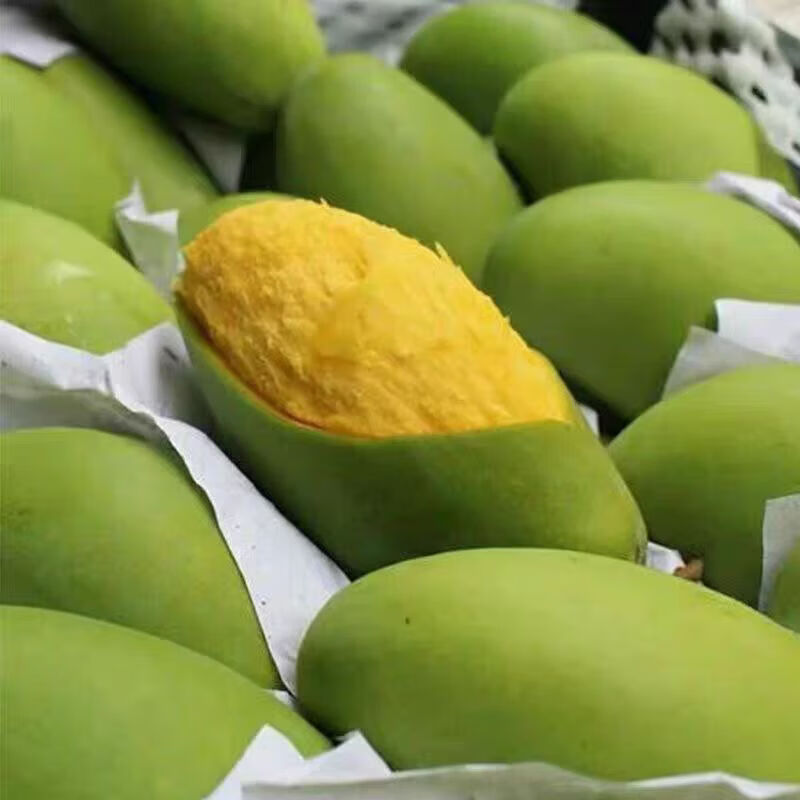 庾丰  越南进口芒果 脆甜青玉芒 当季新鲜孕水果  5斤含箱 单果250g起 甄选净重4.5斤