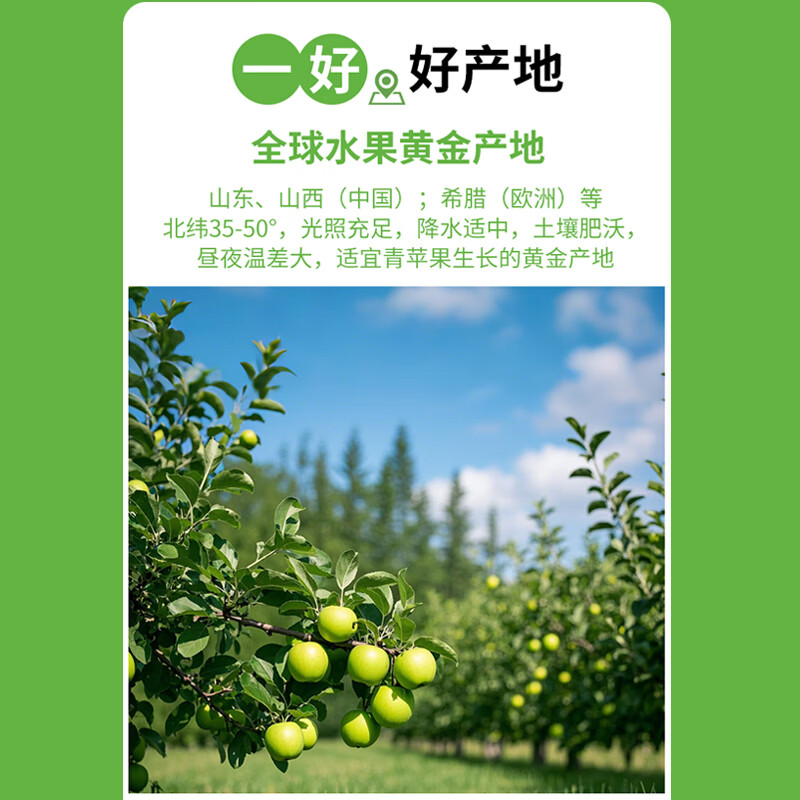 福兰农庄NFC苹果汁家庭囤货装100%果汁无添加nfc饮料胖东来同款年货礼盒 苹果汁1L装【3瓶果汁】