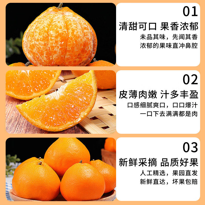 顶掌柜正宗四川春见耙耙柑9斤橘子新鲜水果当季丑柑橘粑粑柑大果包邮 9斤 (大大果80-85mm)维C丰富丨高性价比