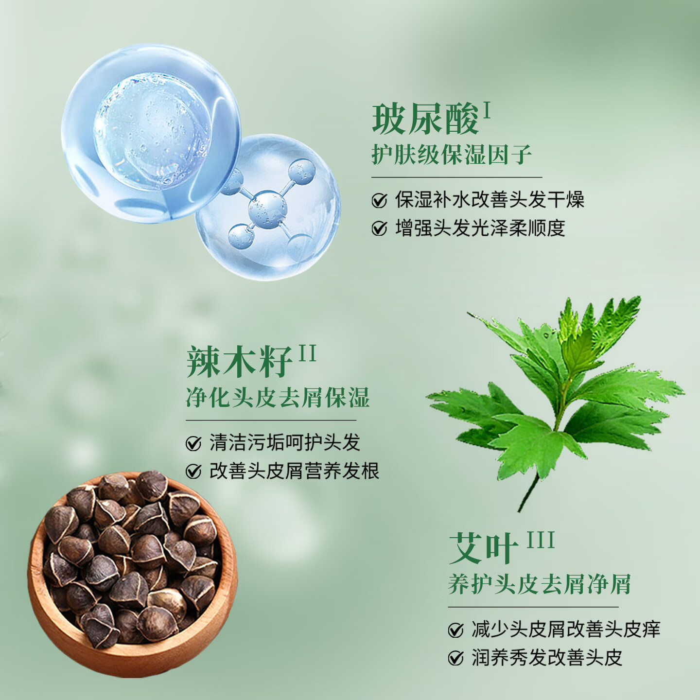 辣木籽果四代草本精华滋润去屑三效合一洗发水清洁保湿改善头痒柔顺洗发乳 辣木籽果4代精华控油防断洗发水