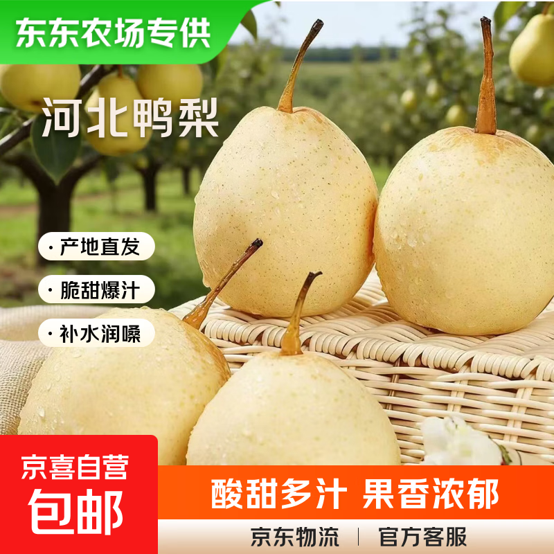 【东东农场专供】河北鸭梨水晶鸭梨新鲜水果酸甜多汁远达新24 鸭梨带箱3斤净重2.5斤单果200g+