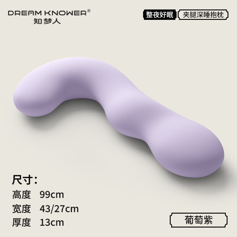 知梦人（zhimengren）床上睡觉夹腿抱枕女生专用侧睡长条枕人体工学大抱枕成人孕妇靠枕 【舒适款-柔软透气助眠舒睡枕】可拆洗【葡萄紫】