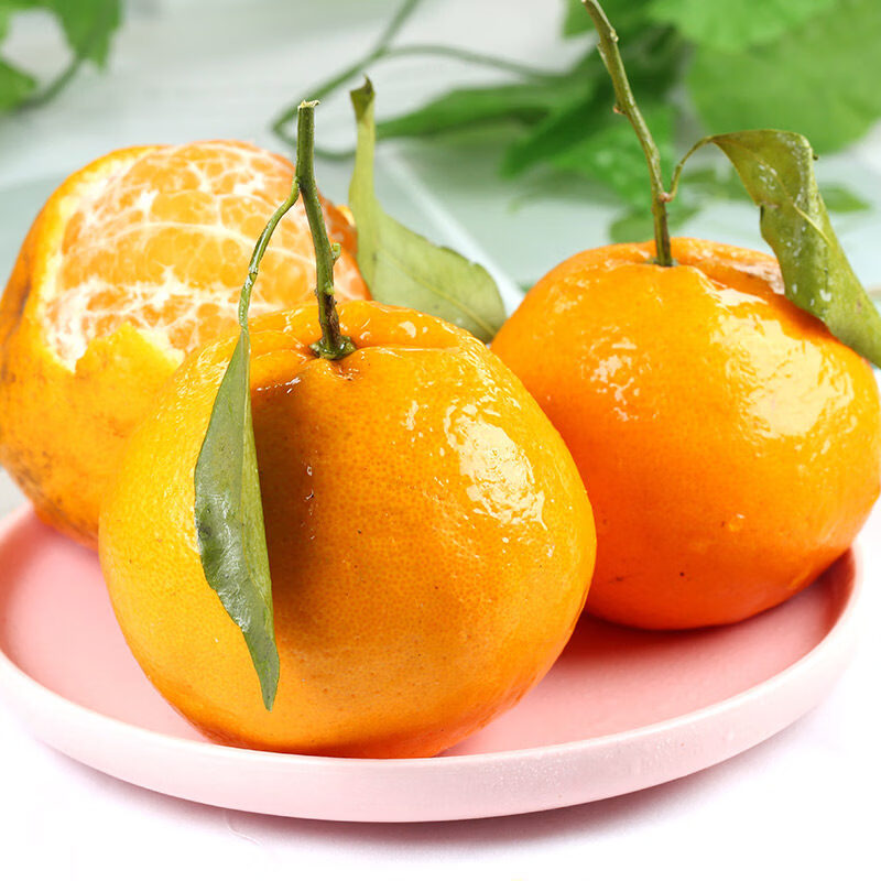 果迎鲜春见耙耙柑 4.5斤 柑橘  新鲜水果 柑橘桔子 生鲜 70-75mm