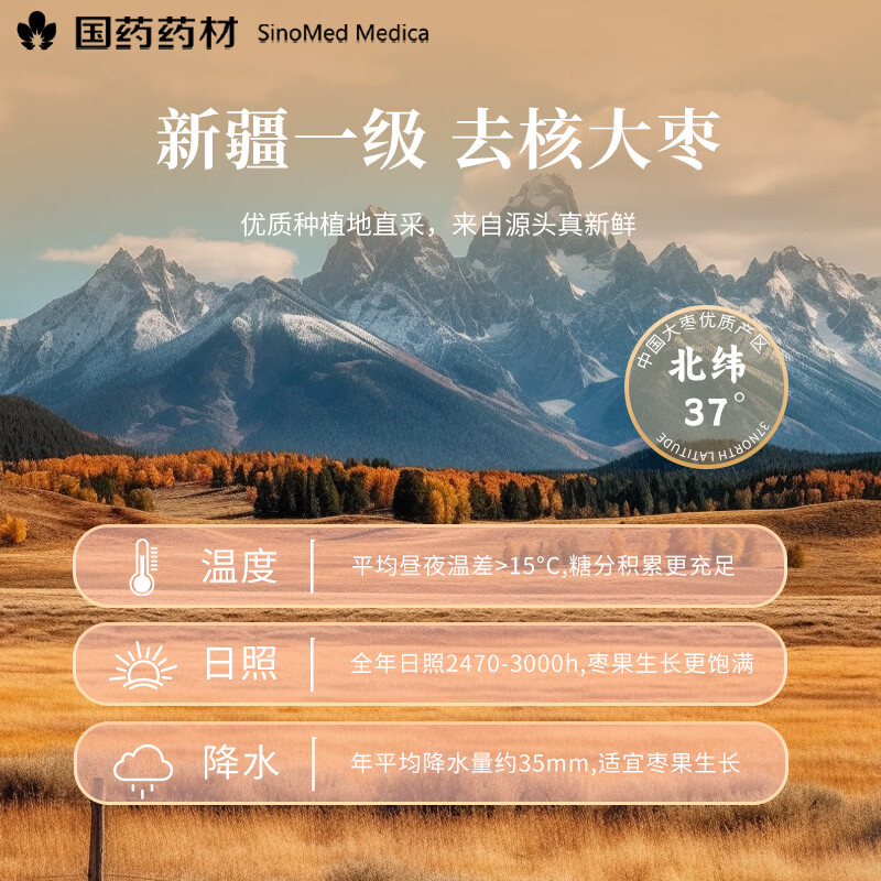 崇芝林国药药材无核红枣新疆免洗无核红枣即食蜜饯果干年货煲汤400g 【特级无核】 400g*1罐 国药药材 只做道地好药材