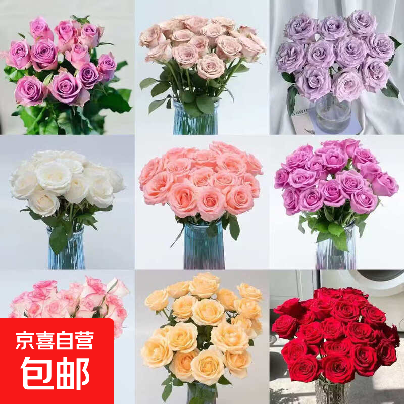 京东鲜花玫瑰花基地直发精品鲜花-随机色玫瑰七夕情人节礼物 精品七夕节玫瑰随机色20支40-45cm