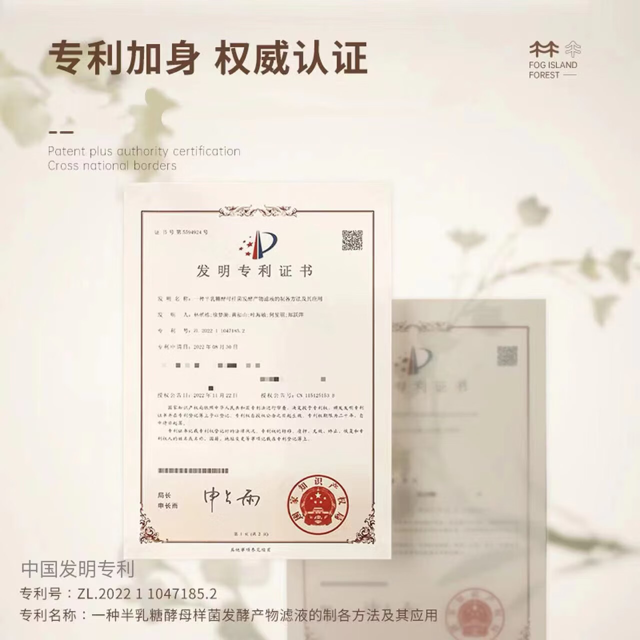 雾屿森林柚子面膜auz面膜auk面膜紧致抗皱保湿肌肤涂抹式面膜官方正品 300g 囤货装
