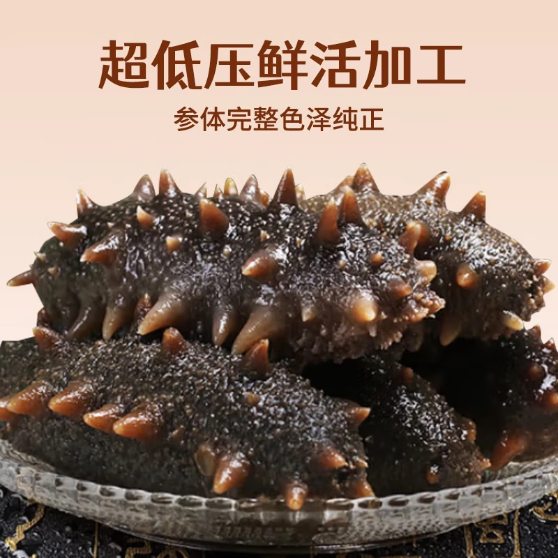 龙味福即食海参 大连鲜食海参开袋即食单个装 深海精品海参辽刺生鲜礼盒 超大号·【最肥厚】甄选鲜食海参 9-12头*1斤