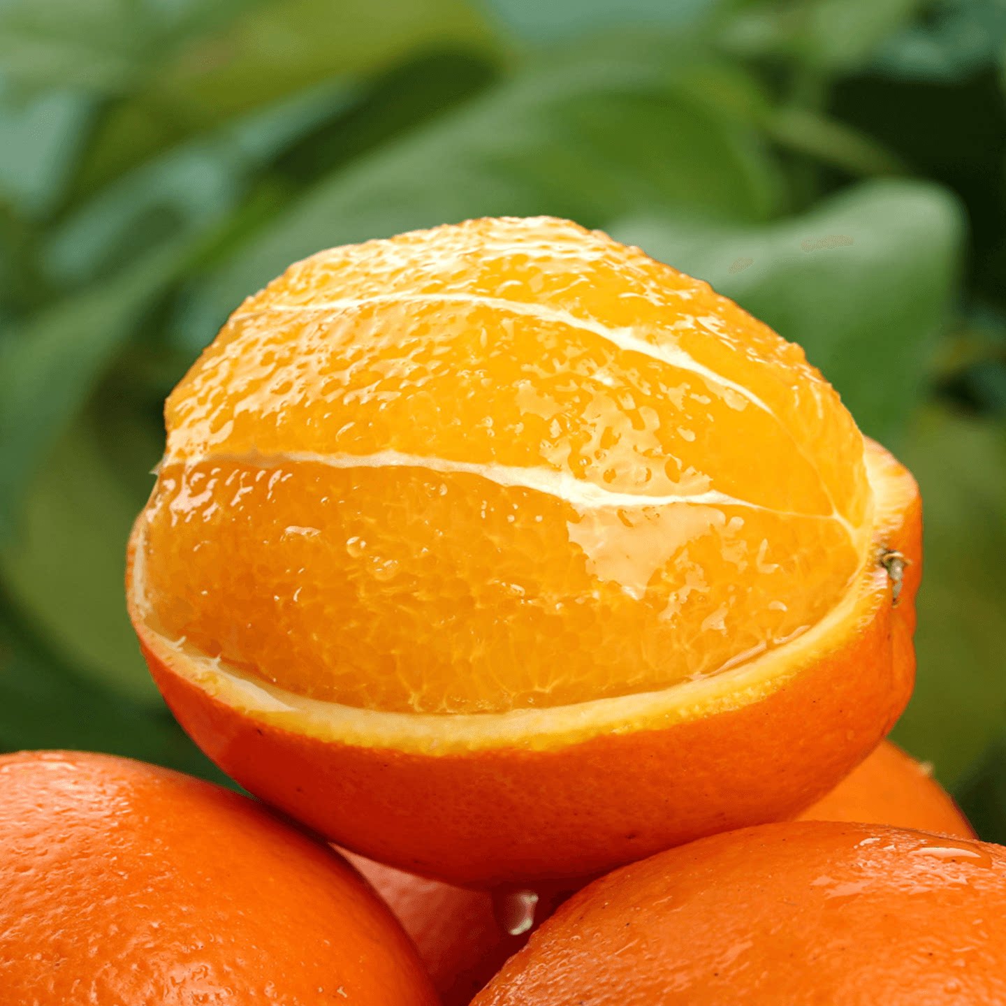 重庆奉节脐橙 新鲜水果 应季甜橙 生鲜 重庆特产 产地现摘直发 带箱10斤 70-75mm 果径70mm-75mm