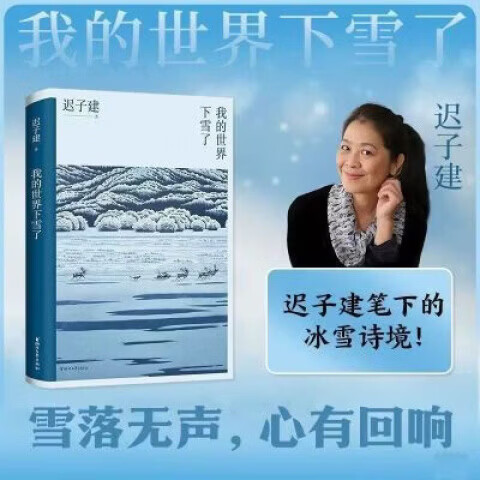 我的世界下雪了 迟子建散文系列 茅盾文学奖得主迟子建散文集书 我的世界下雪了(迟子建散文系列)