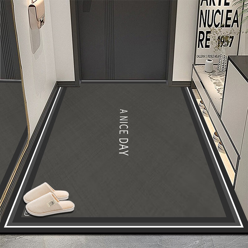 DONOYA 多罗亚硅藻泥入户门地垫门口入户地垫轻奢高级2026新款地毯门口入户脚垫 60*90cm【全新升级/吸水防滑防污】 硅藻泥地垫YY2191 3.5毫米