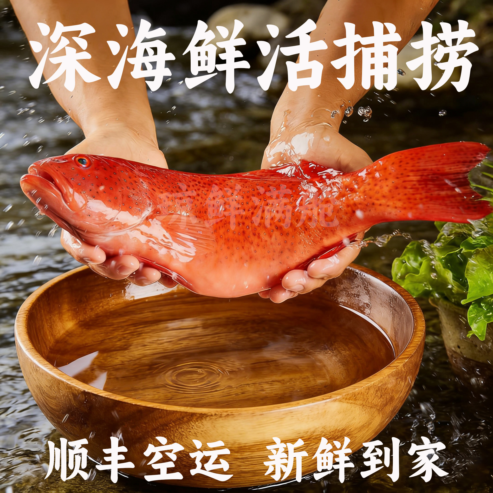 鲜当道优选东星斑鲜活锁鲜三去净膛肉质细嫩家常海鲜食材顺丰包邮 【家庭优选款】1.1-1.3 斤 / 条 原条鲜冻