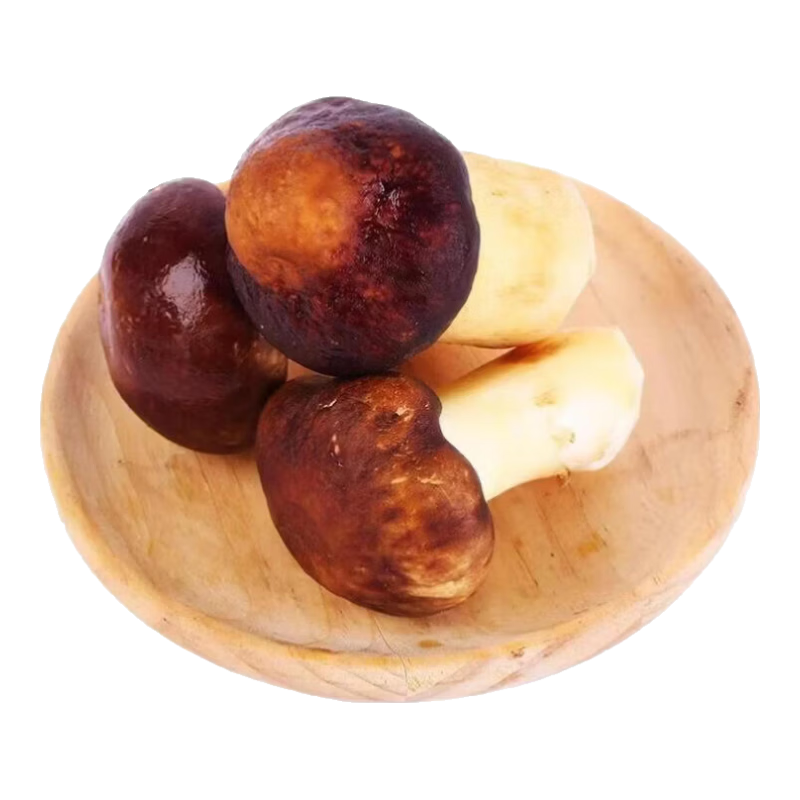 ���������ˡ��������ʼ����׳��������²�ժ��������ֱ�ɼ����� ���ʼ�����2�ﾻ��