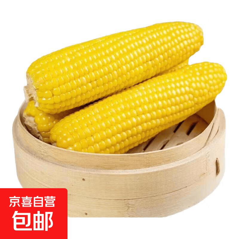 东北甜糯玉米 黄糯白糯黑糯组合 真空包装 加热即食 【黄糯玉米10根单根180g+】 净重3.6斤