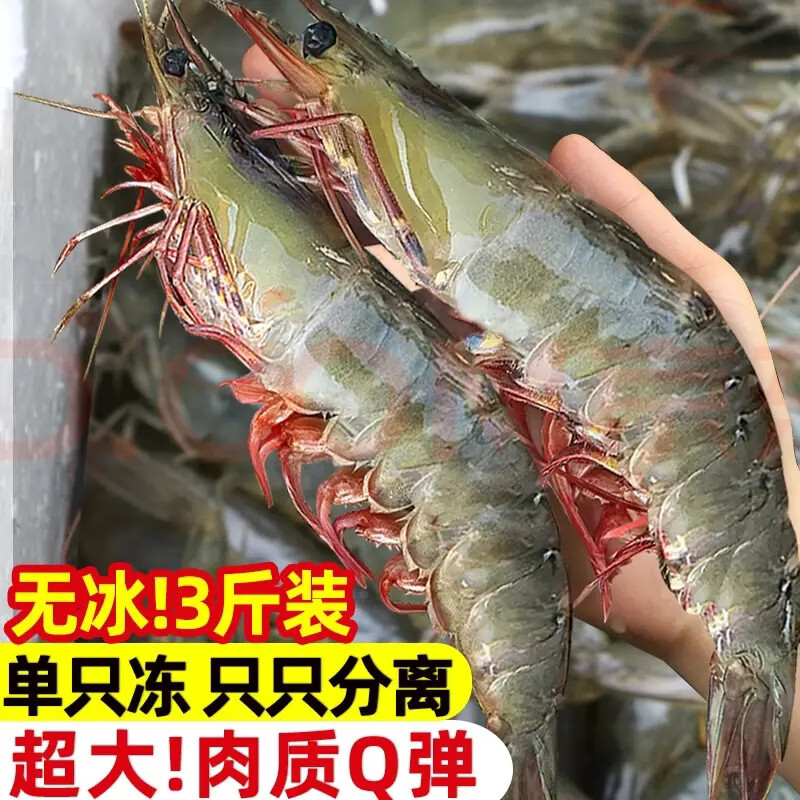 三蟹岛大虾鲜活特大号基围虾青岛海鲜生鲜冻虾白虾水产王牌速冻冷冻新鲜 厄瓜多尔白虾 大号 1斤15-20只 500g(净重) 