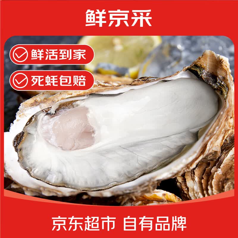 鲜京采鲜活生蚝6XL 净重5斤 6-8只 鲜活到家 源头直发 海鲜水产