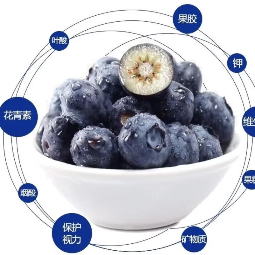 云南澄江抚仙湖花香蓝莓L25蓝莓脆甜天花板 超大果源头空运次日达 L25花香蓝莓125g*4盒装净重1斤+顺丰空运 中果15mm+
