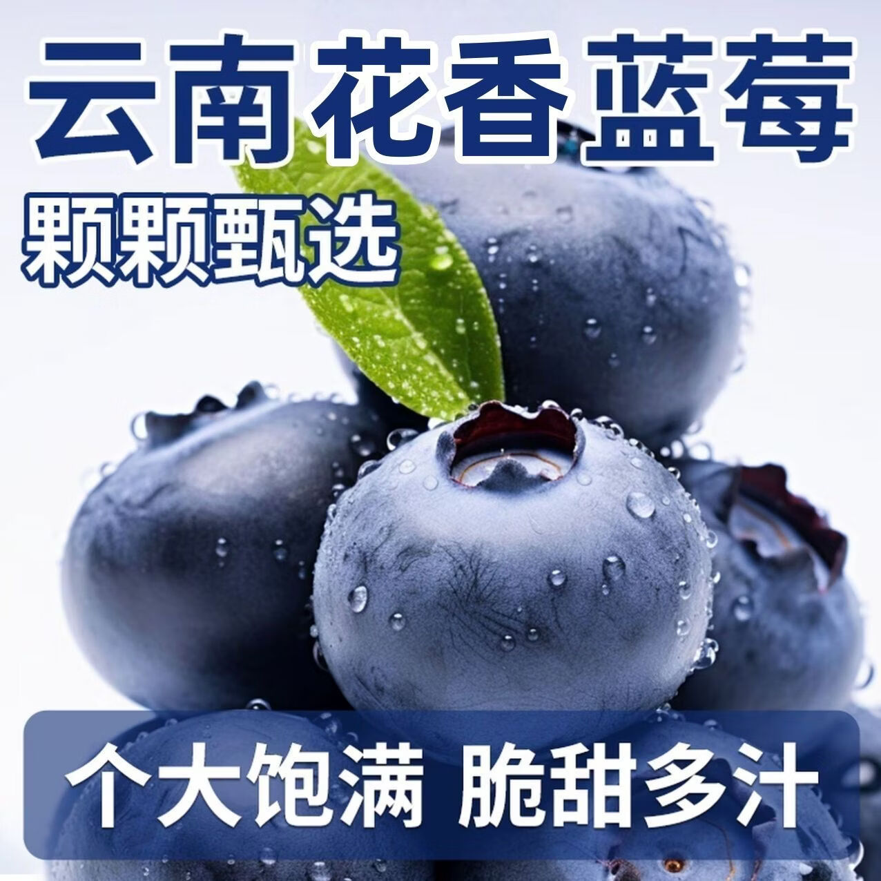 千园九味L25花香蓝莓新鲜蓝莓鲜果盒装应当季水果现摘现发京鲜大果礼盒 6盒单盒100g【单果18mm+】 京东折扣/优惠券