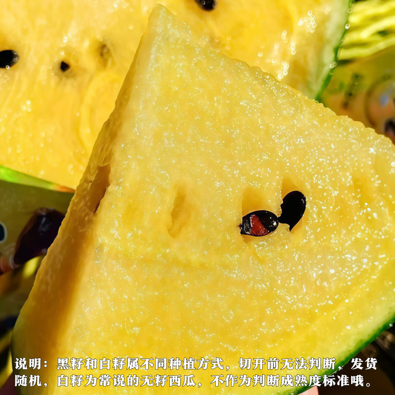 冰淇淋黄心西瓜富硒特小凤西瓜新鲜脆甜黄心皮薄多汁广东当季水果 5-6斤装【果香浓郁 果肉细腻】
