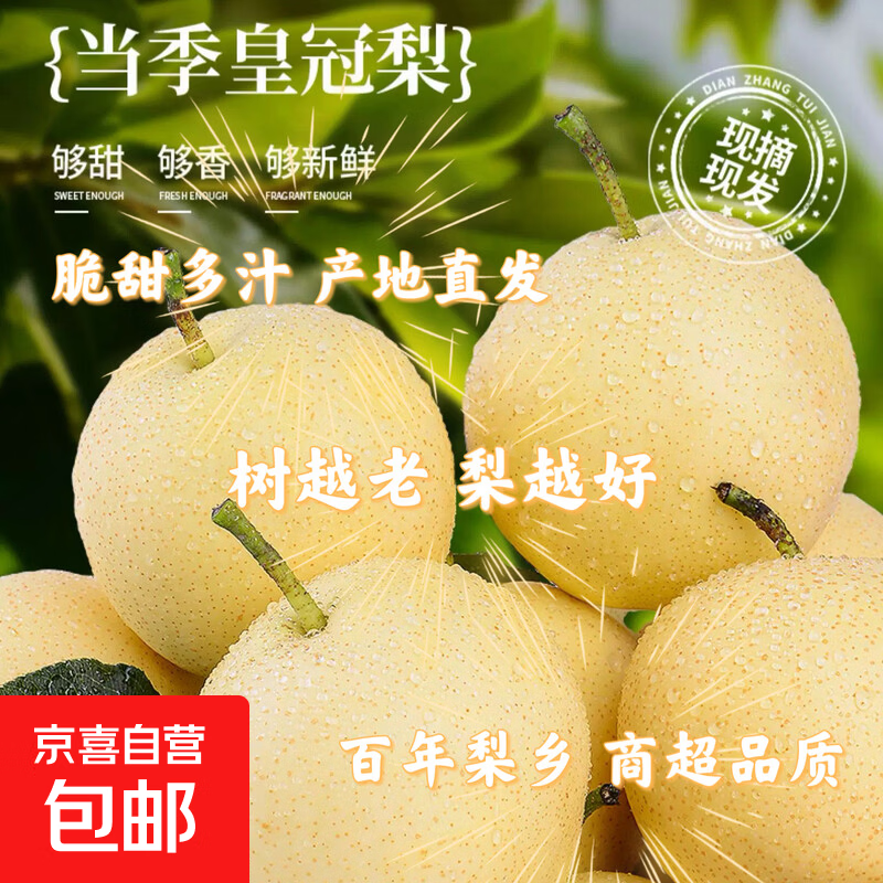 京喜加正宗皇冠梨【京严选】河北百年梨树果园直发脆甜多汁润肺新鲜水果 带箱2斤[净重1.6斤] 润肺多汁 果园直发 京东快递