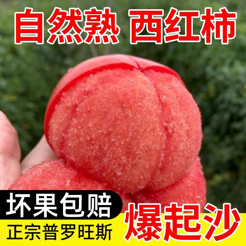 鲁韵忆乡山东普罗旺斯西红柿 沙瓤可生吃番茄酸甜多汁西红柿子新鲜蔬菜 普罗旺斯西红柿带箱 5斤