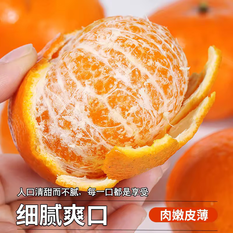 JDBMO沃柑现摘新鲜爆甜水果当季柑橘蜜桔子整箱 5斤实惠装净重4.5斤 60-65mm丨高性价比