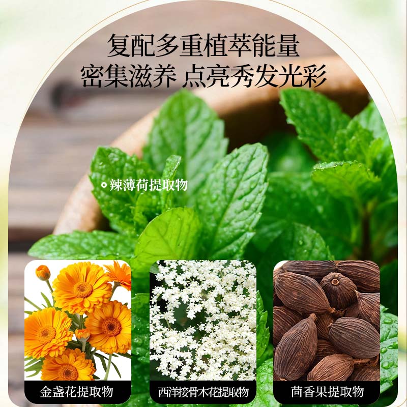 蝶印【日本原装进口】马油防断发洗发水500mL 无硅油蓬松强韧修护发丝 防断洗发水+滋养护发素1000ml