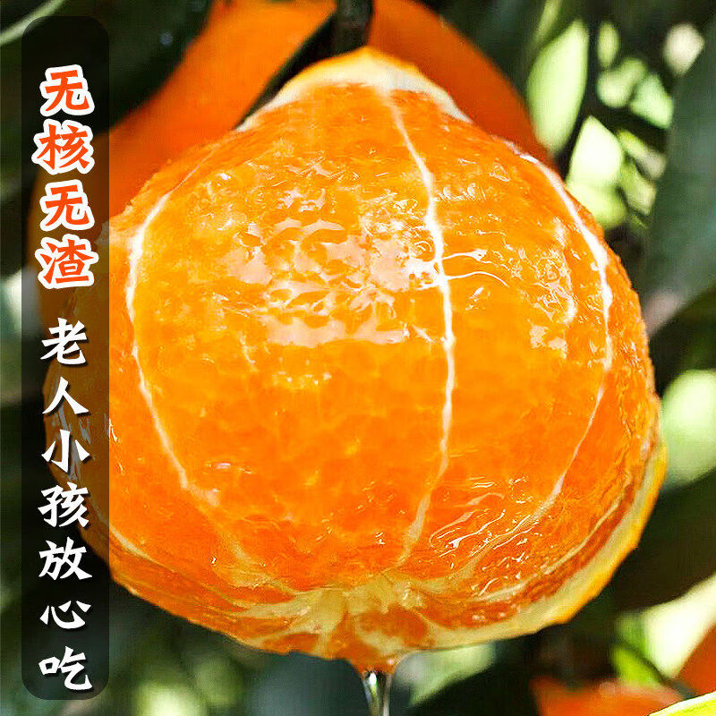 淦橙农源爱媛果冻橙3正宗四川橙子鲜水果当季整箱10斤现摘发手剥甜橙 3斤 65mm含75mm不含