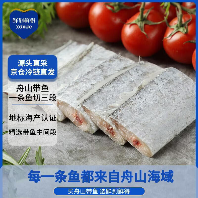 鲜到鲜得冷冻舟山带鱼段550g 生鲜鱼类 刀鱼 深海鱼 生鲜 鱼类 海鲜水产
