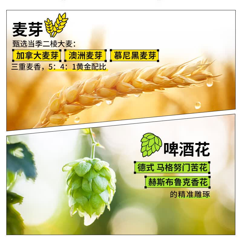 雪花原浆精酿啤酒12.8度鲜啤铝瓶装 酵母原动力 1L 2瓶