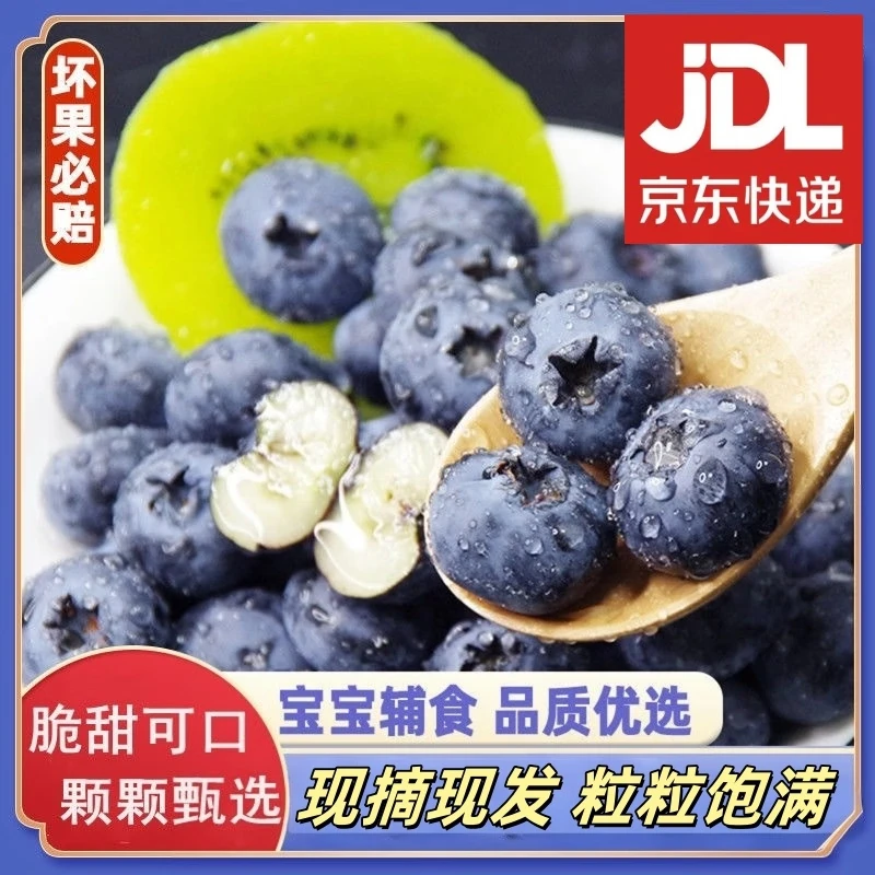 涨金云南蓝莓 100g-120g/盒B 2盒 12mm+（京东空运发货）