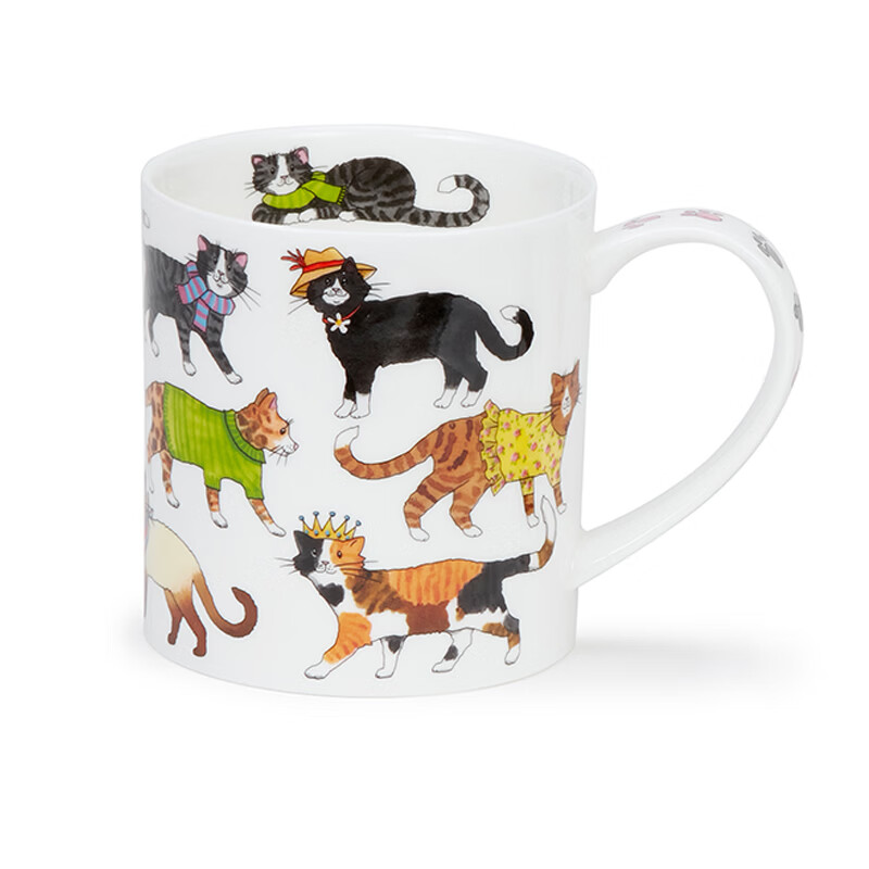 丹侬（DUNOON）英国骨瓷马克杯 潮喵咖啡杯陶瓷可爱水杯猫咪杯子情侣杯 礼盒装 潮喵-帽子(350ml)