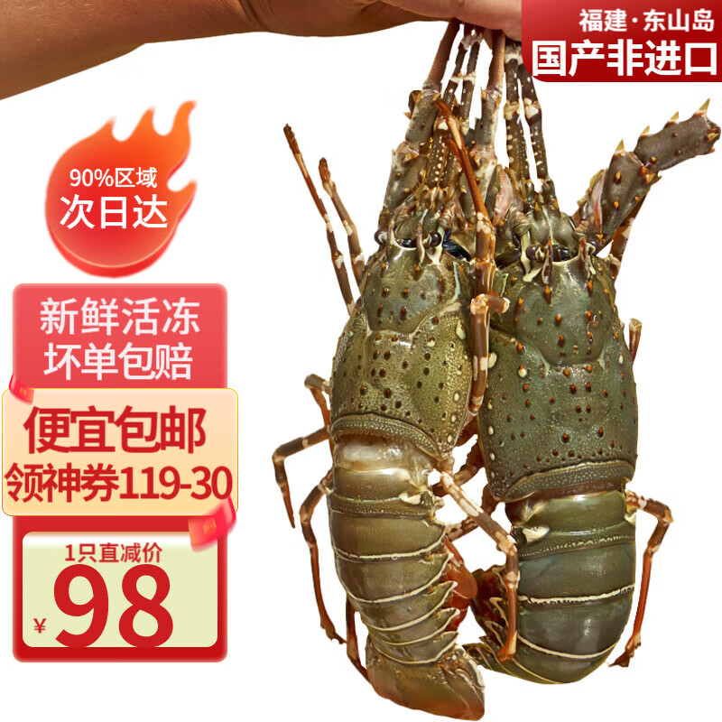 携宴福建小青龙虾大号龙虾海捕活冻大花龙海鲜家庭聚餐宴请食材净重 1只*400-500克/只 【强烈推荐】