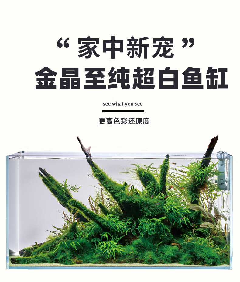 缸新汉江金晶至纯超白玻璃鱼缸水草缸造景缸小中大型缸定制鱼缸 30*30