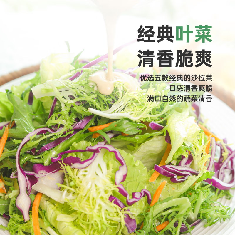 一号农场益生菌羽衣甘蓝奇亚籽沙拉汁轻食酱汁油醋汁牛排调料蔬菜沙拉拌酱 3包田园+益生菌沙拉汁200g