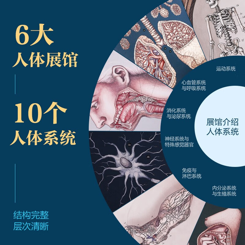 奇迹博物馆系列（套装2册）人体博物馆+太空博物馆 乐乐趣7岁+儿童科普阅读 揭秘人体和太空的秘密知识 亲子互动大百科全书 小学生课外阅读详情图