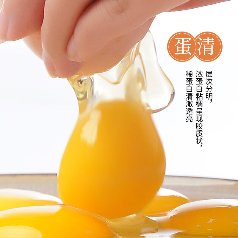 沂蒙山正宗山养绿壳土鸡蛋新鲜散养绿色营养可生食早餐 60枚粉壳山鸡蛋