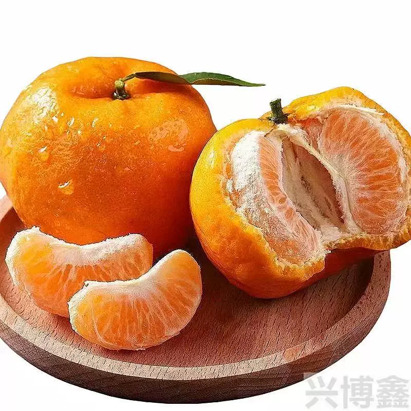 uncle lemon新鲜四川芦柑椪柑橘子现摘柑橘老树品种应当季孕妇水果产地直发 大果（单果重量90g-100g） 5斤