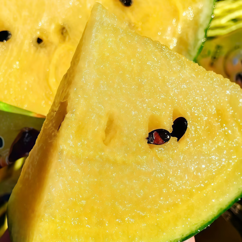 冰淇淋黄心西瓜富硒特小凤西瓜新鲜脆甜黄心皮薄多汁广东当季水果 5-6斤装【果香浓郁 果肉细腻】