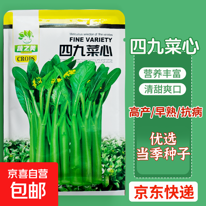 四九菜心种子四九甜菜心四季四九甜脆菜心耐热油青耐高温农家易种 四九菜心（1包约1000粒）