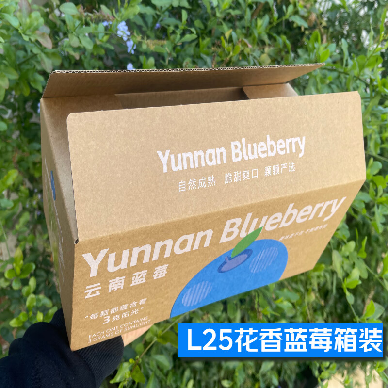 云南澄江抚仙湖花香蓝莓L25蓝莓脆甜天花板 超大果源头空运次日达 L25花香蓝莓125g*4盒装净重1斤+顺丰空运 中果15mm+