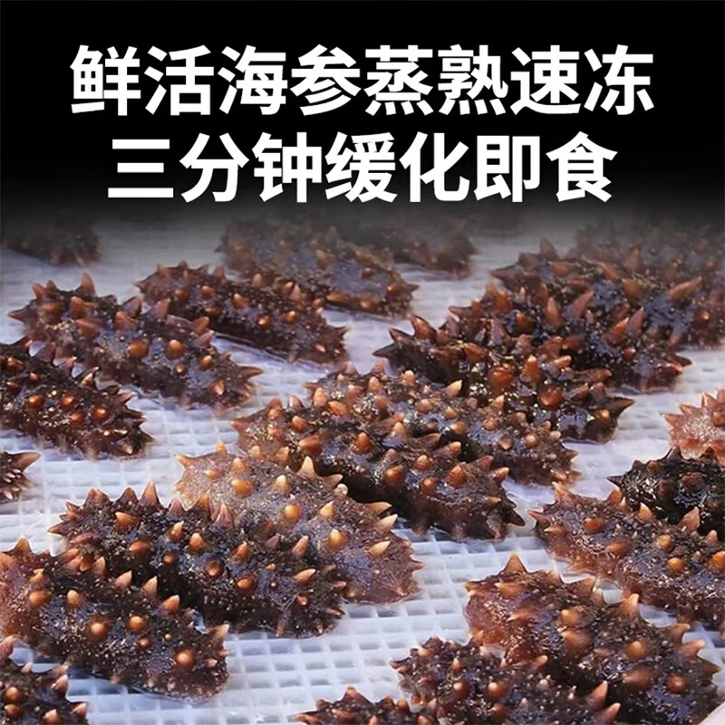 亿鲜笙鲜蒸即食海参鲜活加工佛跳墙食材大连辽刺参中老年滋补高营养海参 9厘米左右鲜蒸海参 30只装