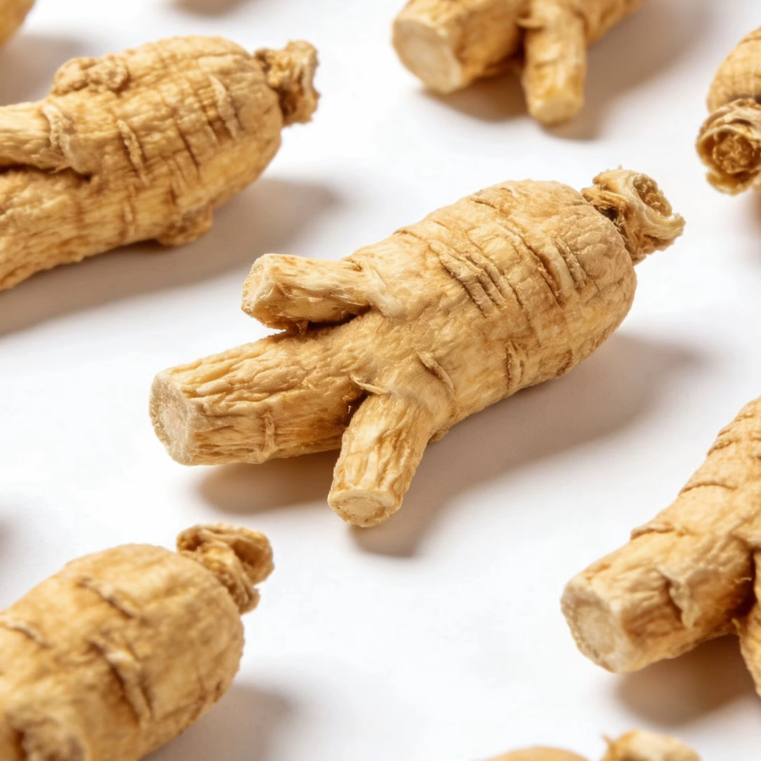 OO-UMAI(加拿大西洋参)足五年花旗参:下特大枝大节:252克起 252g*1罐 切片