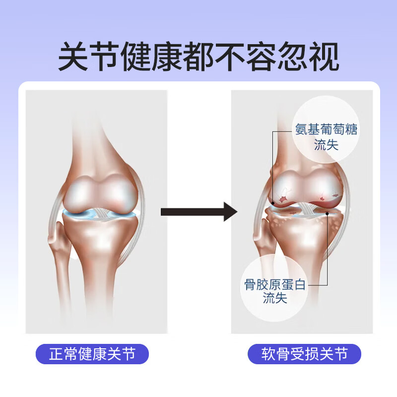 华北制药大健康第三代非变型二型骨胶原蛋白 牛骨胶原蛋白肽Ⅱ型胶原蛋白软骨粉 60粒*6瓶 【超值装】