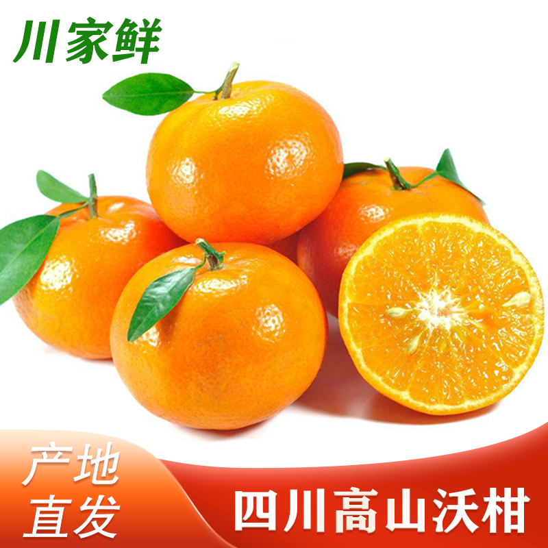 川家鲜四川高山沃柑 新鲜水果橘子礼盒爆甜沃柑  产地直发 尝鲜中果60mm+净果3斤