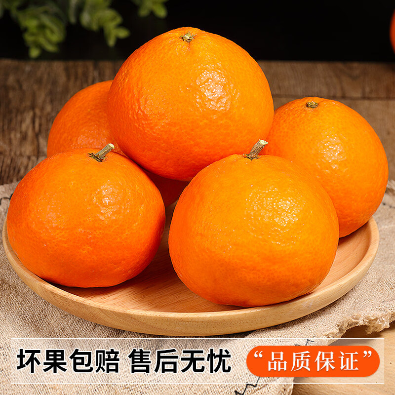 顶掌柜正宗四川春见耙耙柑9斤橘子新鲜水果当季丑柑橘粑粑柑大果包邮 9斤 (大大果80-85mm)维C丰富丨高性价比